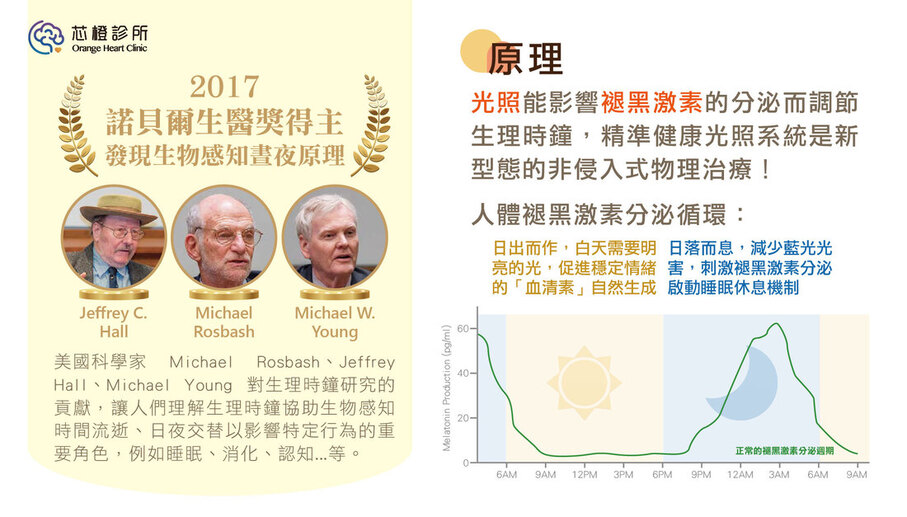 生理時鐘與褪黑激素分泌循環說明圖