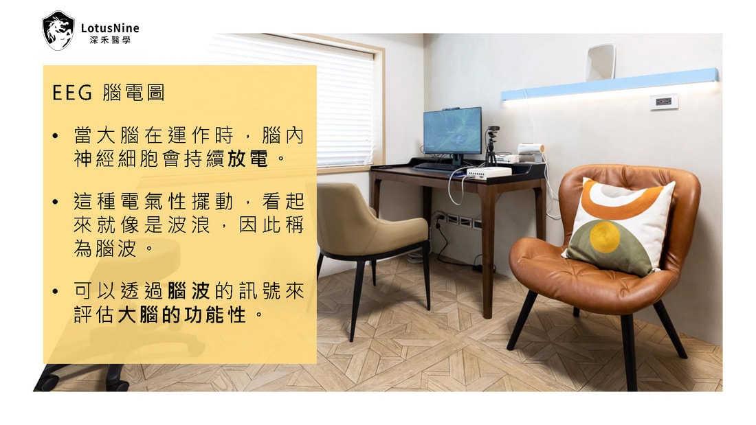 腦波產生原理圖